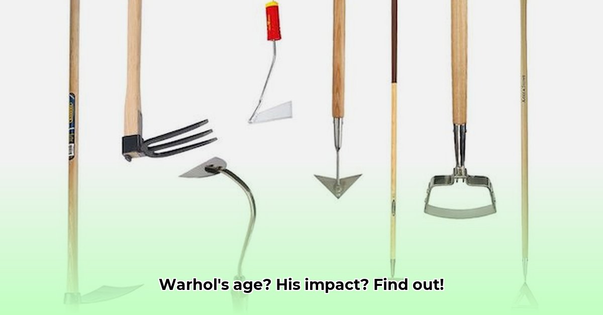 hoe-oud-werd-kunstenaar-andy-warhol